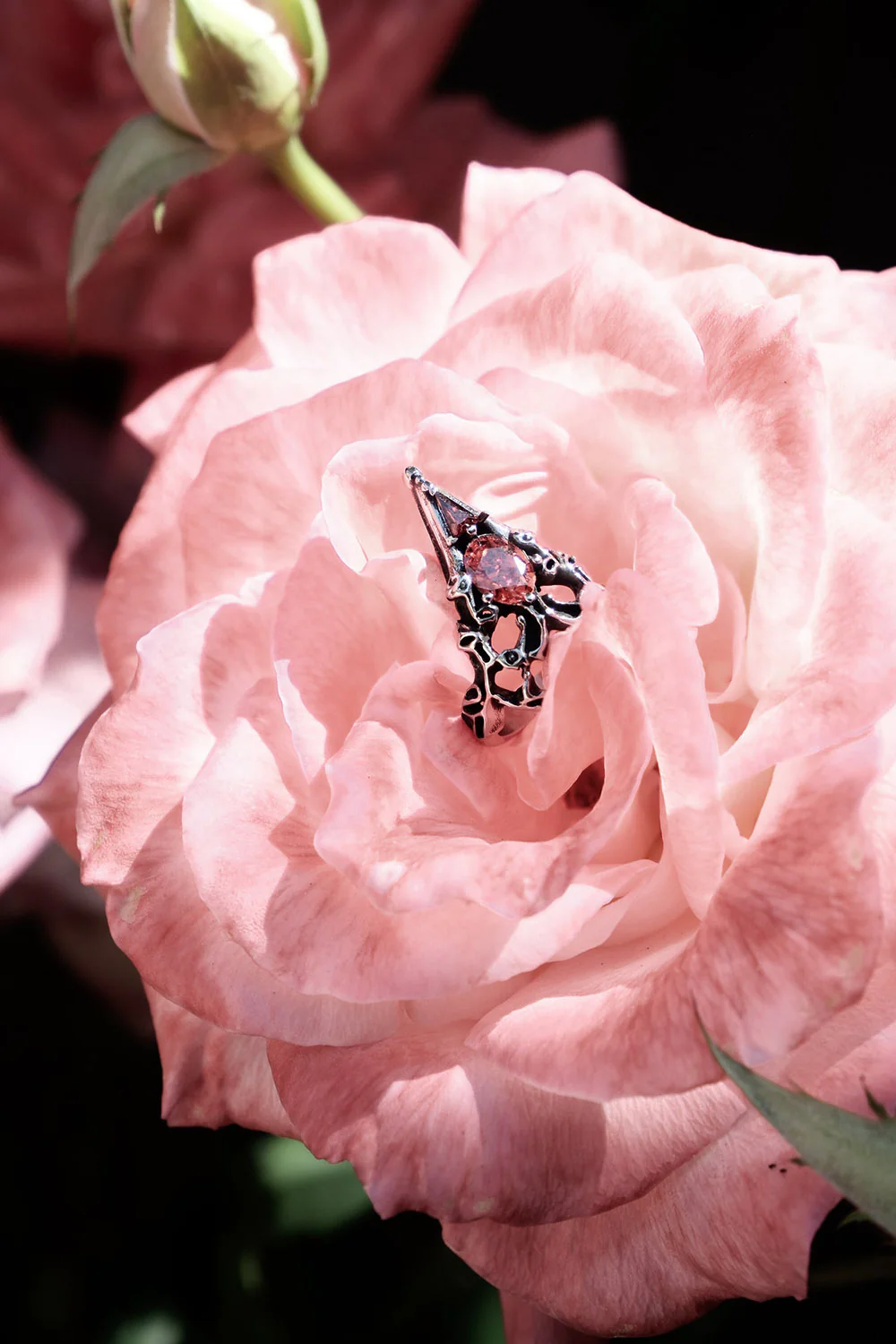 Altarveil Ring - Image 6