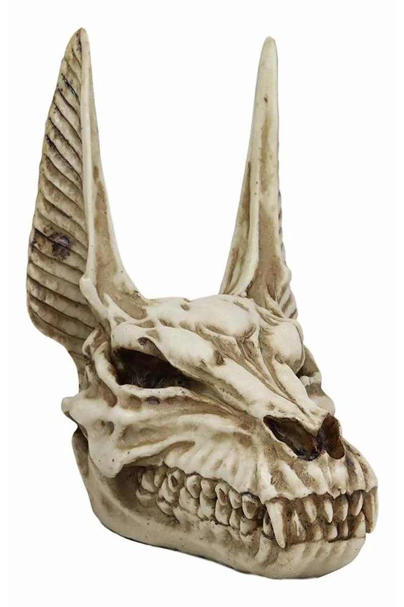 Anubis Skull Scultpure - Image 4