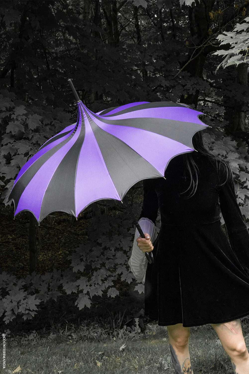 Batwing Pagoda Umbrella [BLACK/DARK PURPLE] - Image 3