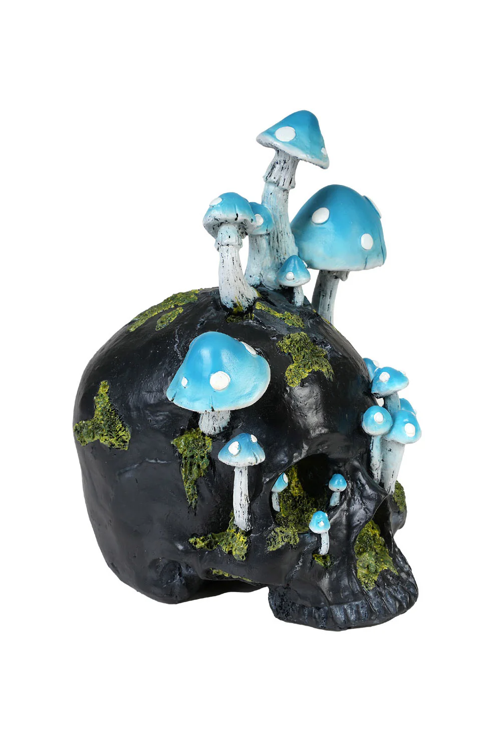 Black Skull with Mushrooms - Image 4