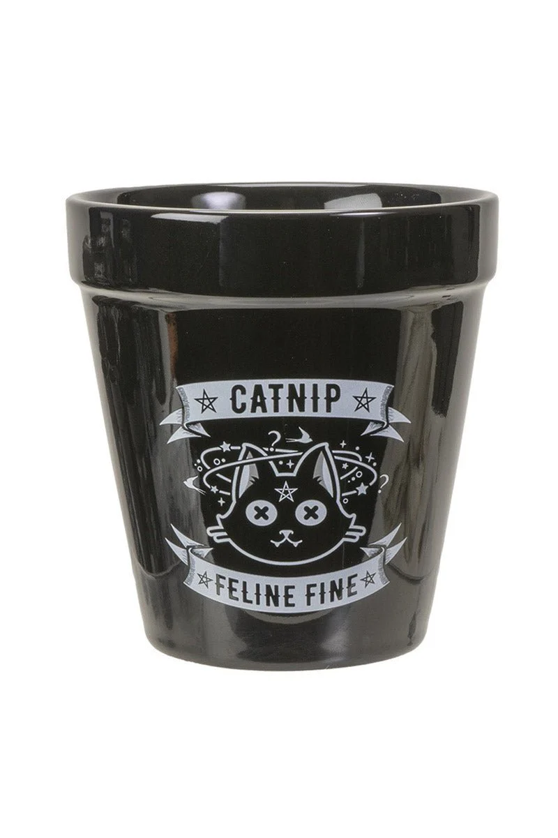 Catnip Plant Pot