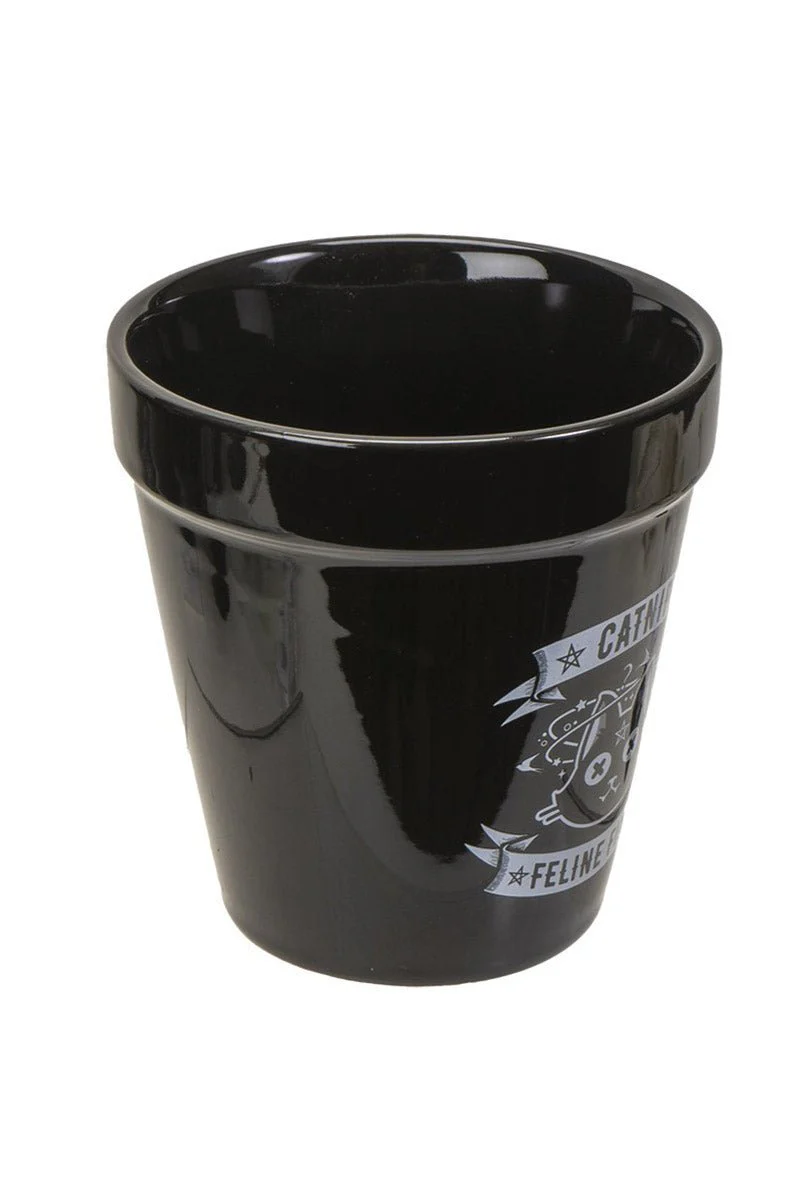 Catnip Plant Pot - Image 2
