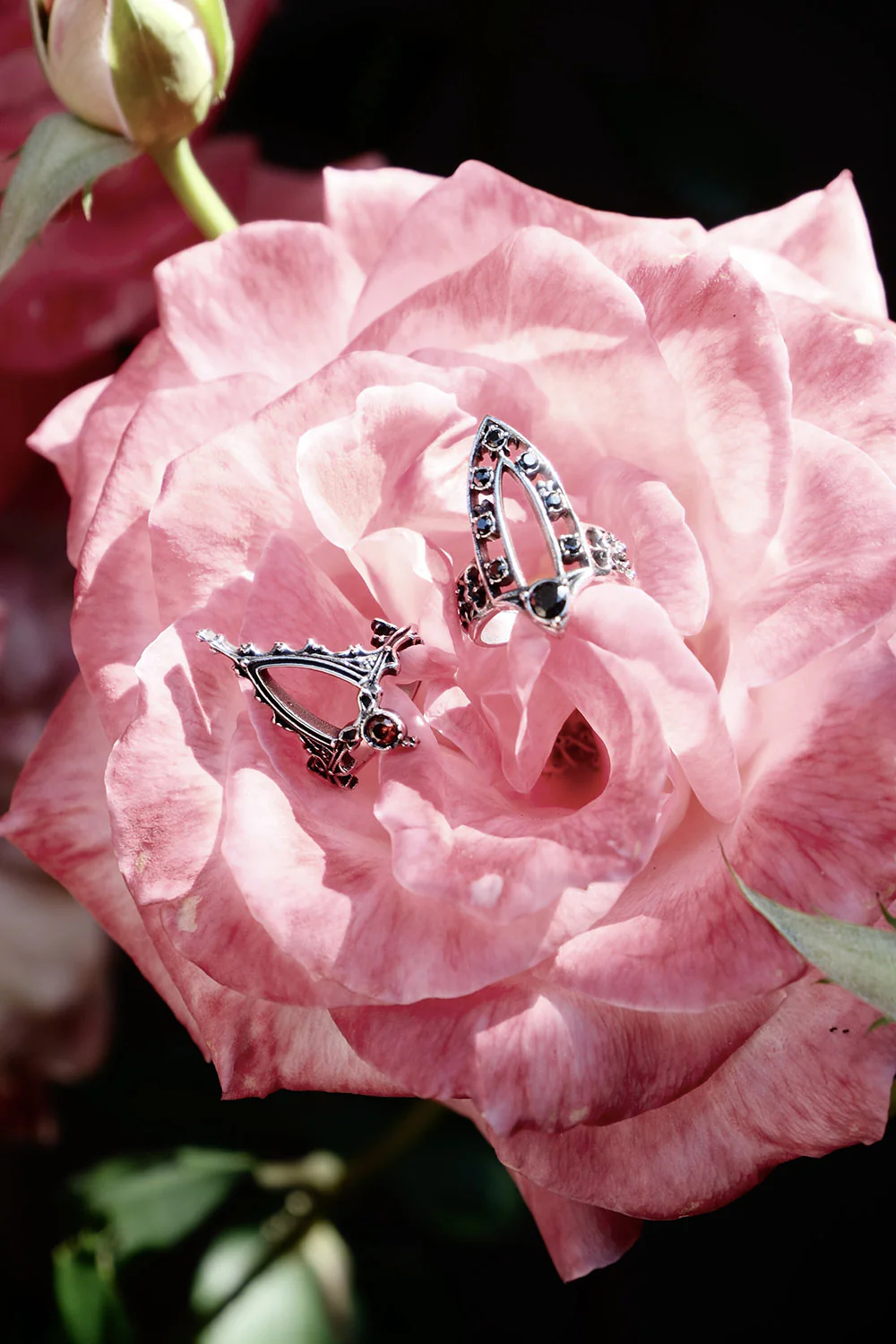 Choirlight Ring - Image 7