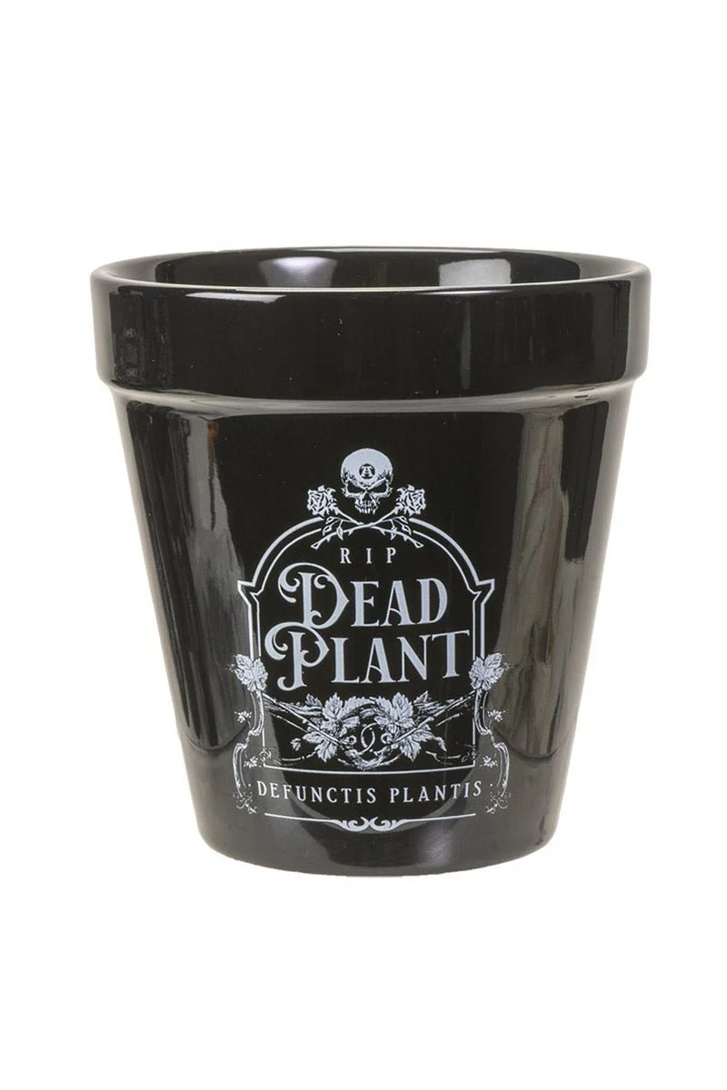 Dead Plant Garden Planter