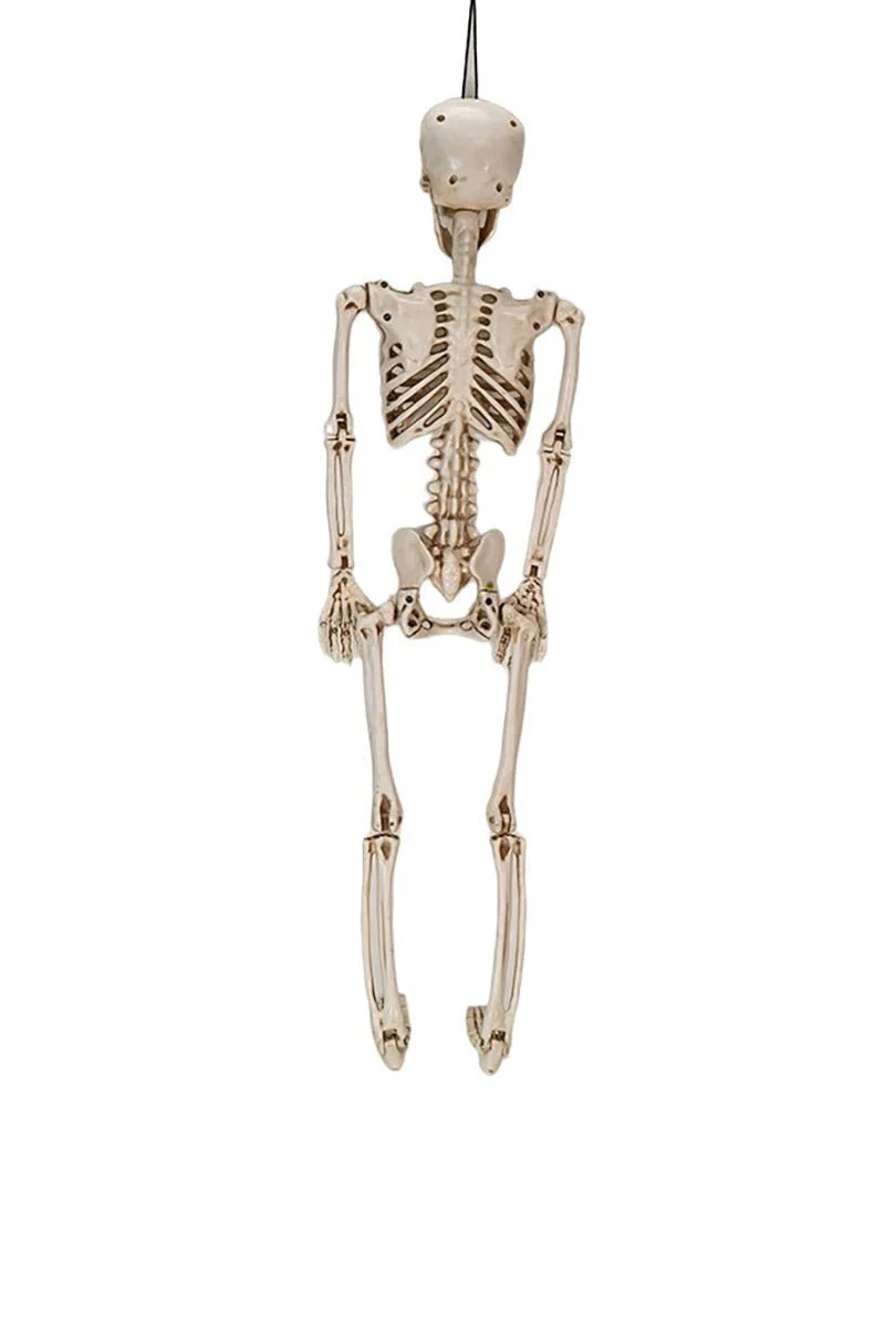 Hanging Resin Skeleton - Image 8