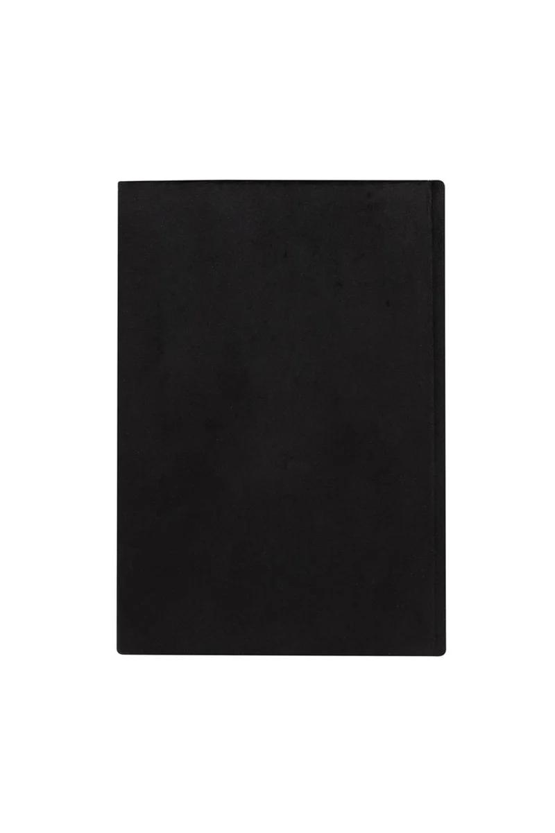 Little Book Of Evil Plans Notebook [Gothic Vampire Velvet] - Image 3