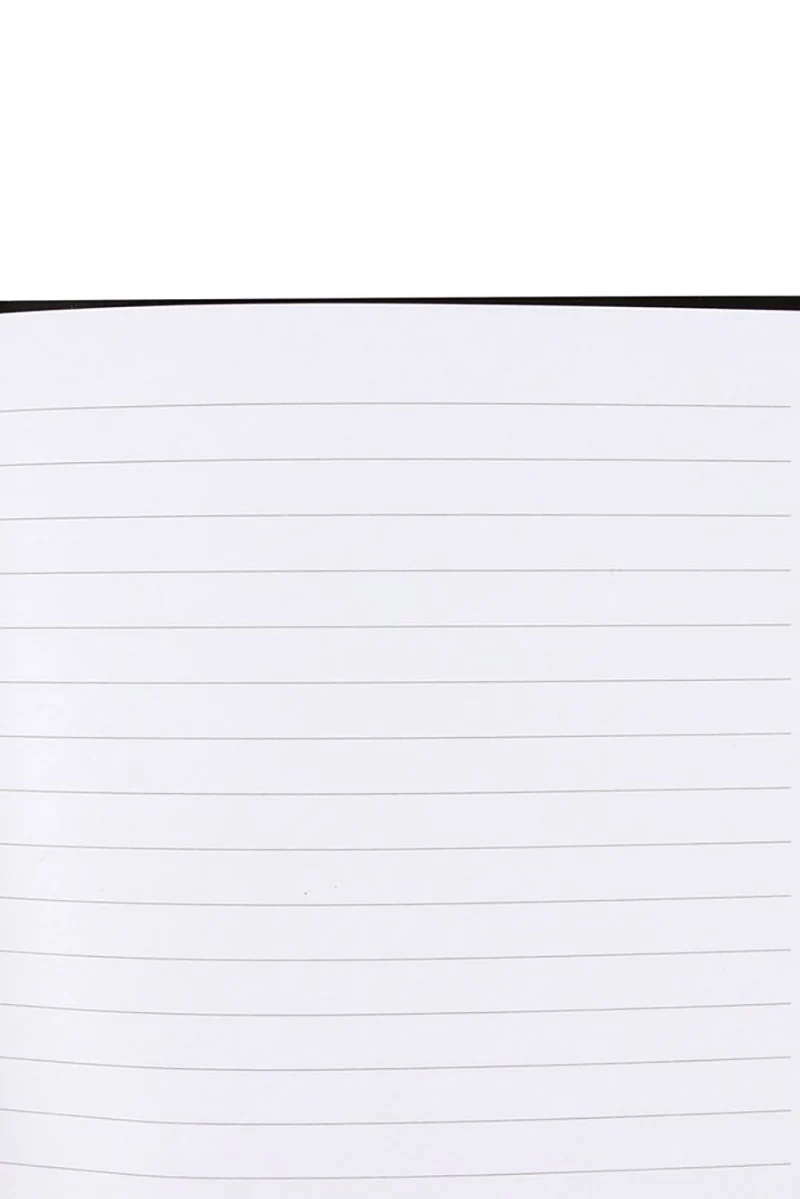 Little Book Of Evil Plans Notebook [Gothic Vampire Velvet] - Image 4