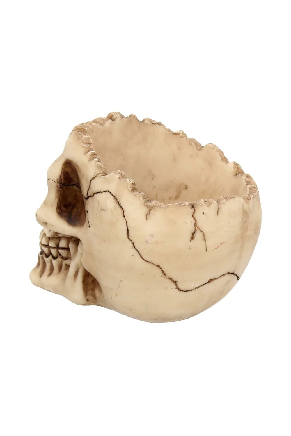 Lobo Skull Bowl - Image 3