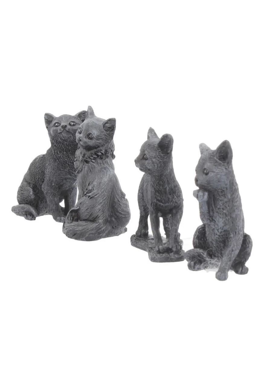 Lucky Black Cat [MYSTERY ITEM] - Image 4