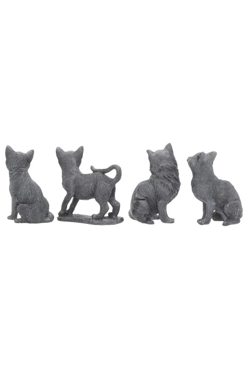 Lucky Black Cat [MYSTERY ITEM] - Image 7