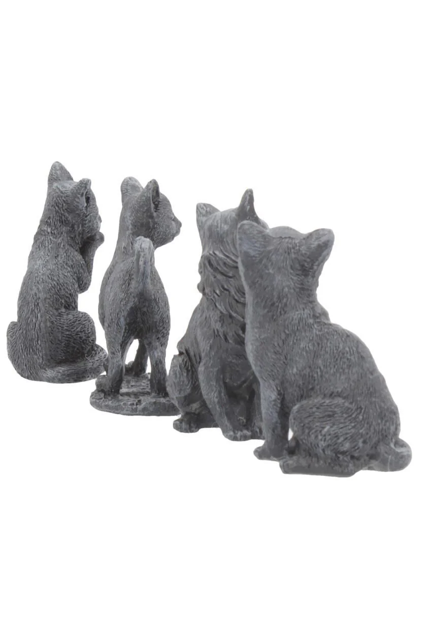 Lucky Black Cat [MYSTERY ITEM] - Image 8