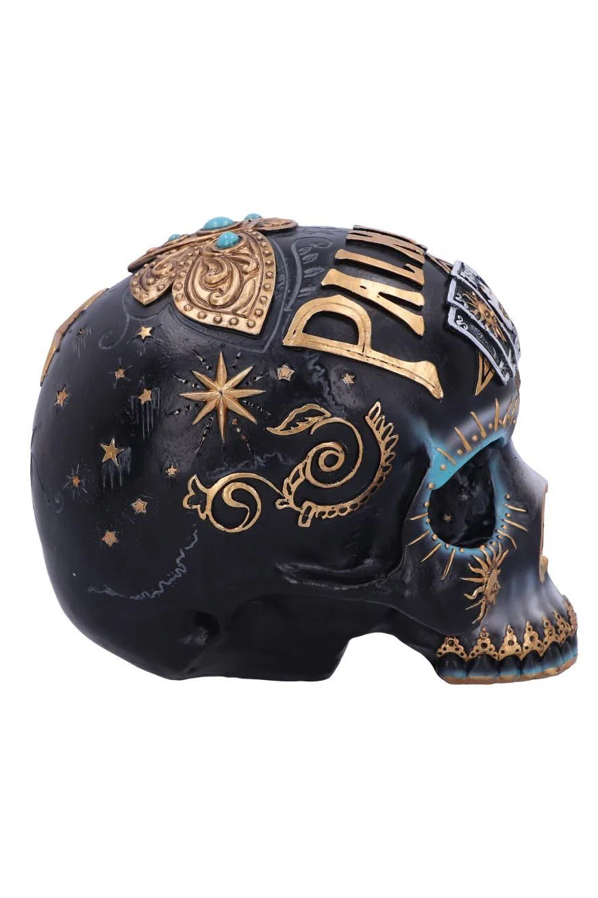 Palmistry Destiny Skull Sculpture - Image 5