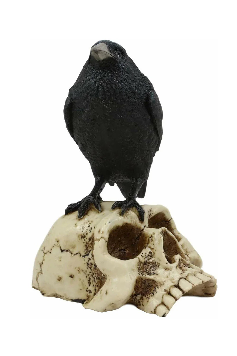 Raven On Skull Statue - Image 2