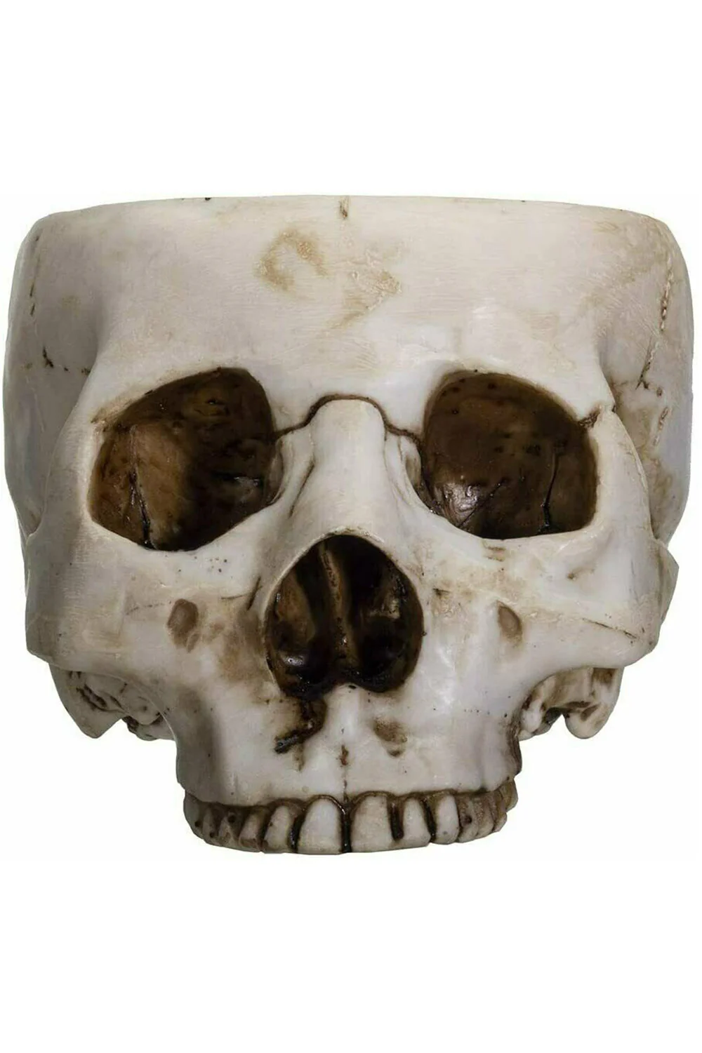 Skull Bowl
