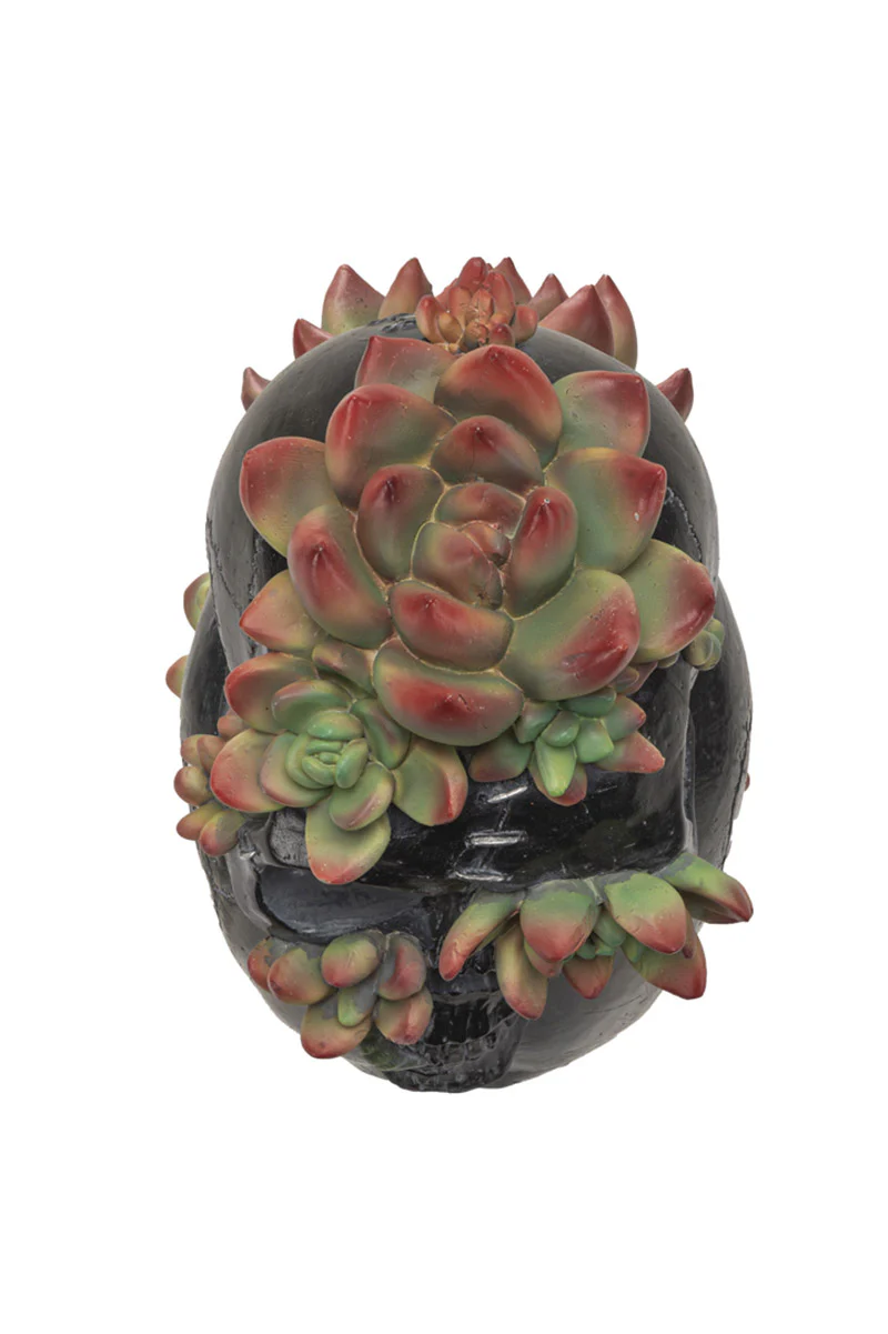 Skull with Succulents Statue - Image 5