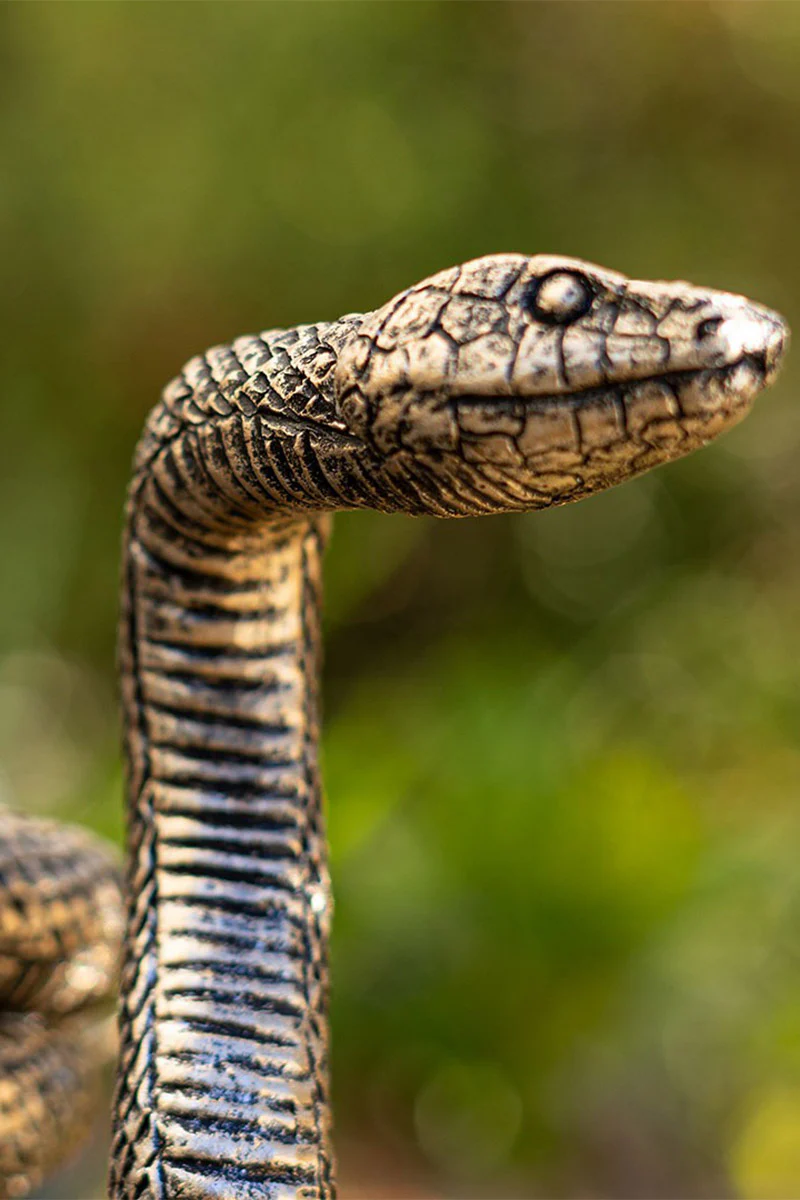 Snake Candle Holder - Image 7