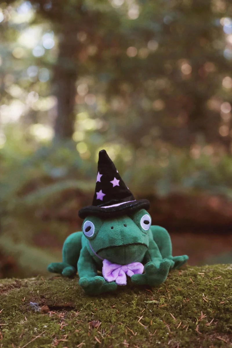 Toad Witch Plushie - Image 3
