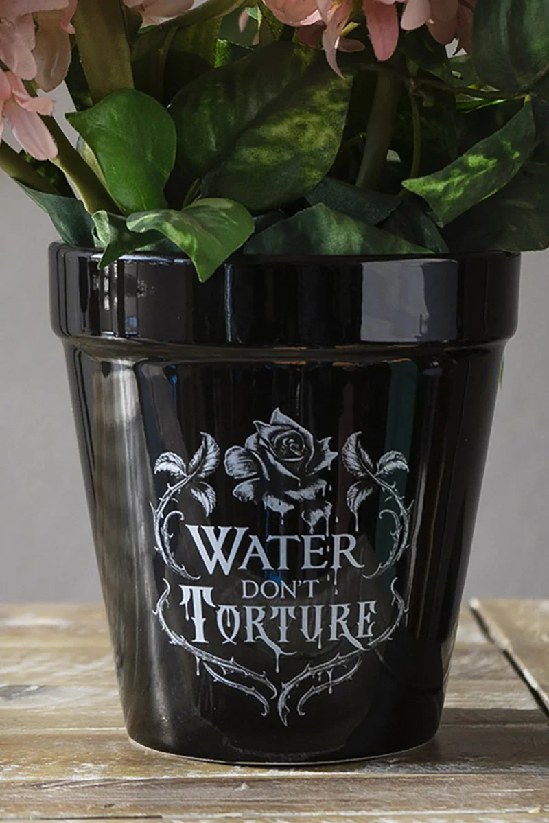 Water Don't Torture Garden Planter - Image 2